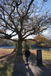 Standing under an oak tree at the Rufus Stone