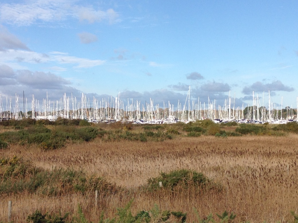 Masts of yachts in the harbour